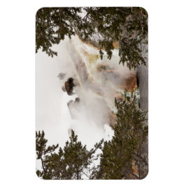 Steamy Bison i nationalparken Yellowstone Magnet