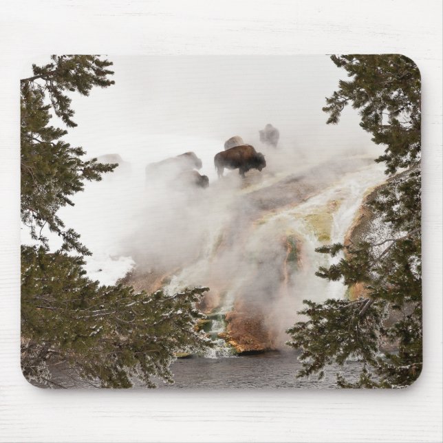 Steamy Bison Mousepad Musmatta (Framsidan)