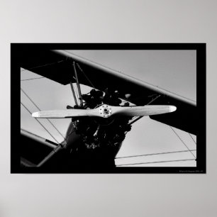 Stearman Kadet Poster