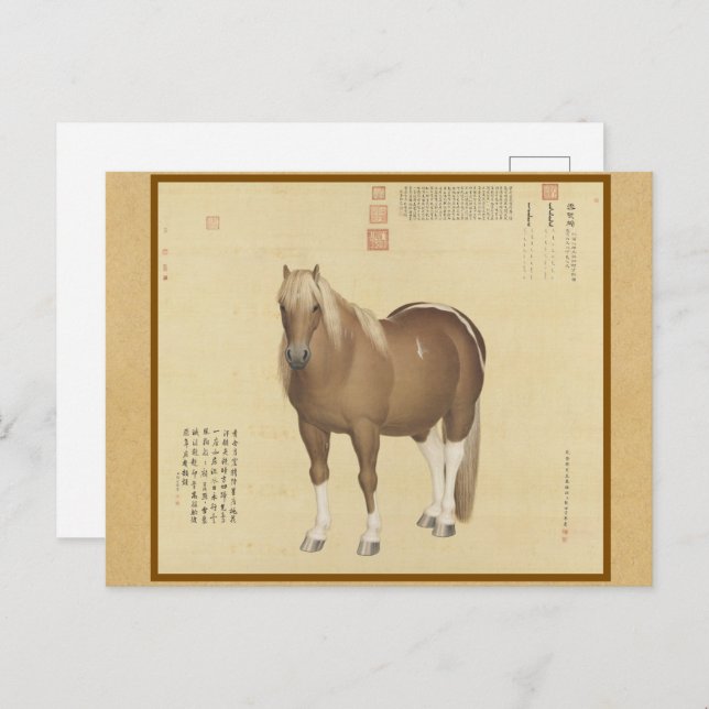 Sted Horse Named SnowFlakeEagle Chinese Fine Art Vykort (Fram/baksida)