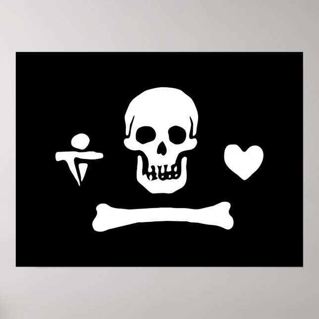 Stede Bonnet Pirat Flagga Jolly Roger Poster (Framsidan)