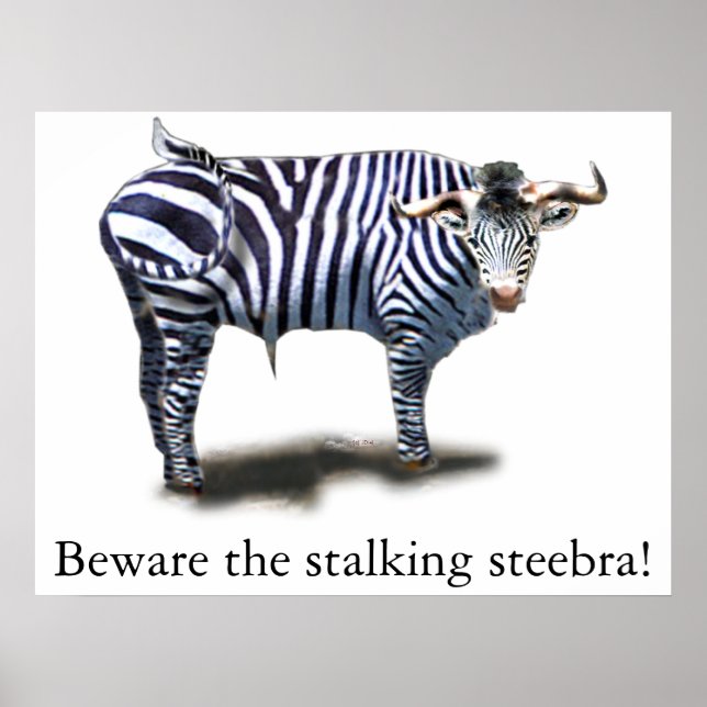 Steebra Poster (Framsidan)