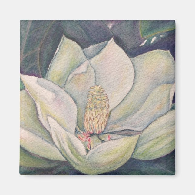 Steel Magnolia Magnet (Framsidan)