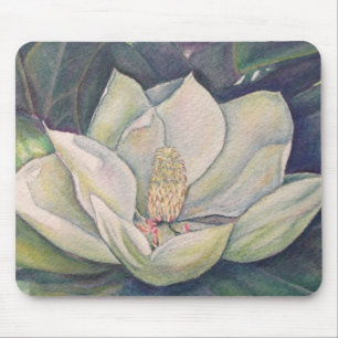 Steel Magnolia Musmatta