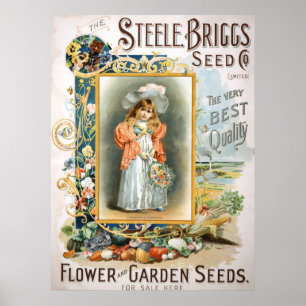 Steele Briggs Poster