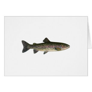 Steelhead (Great Lakes) Hälsningskort