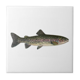Steelhead (Great Lakes) Kakelplatta