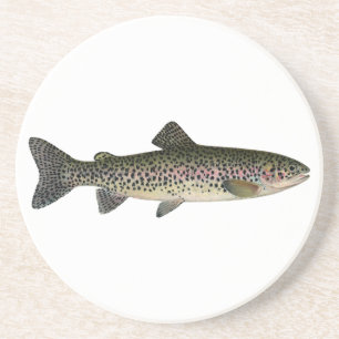 Steelhead (Great Lakes) Underlägg Sandsten