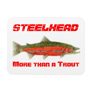 Steelhead mer än en forellmagnet magnet
