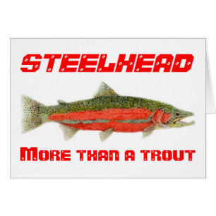 Steelhead mer än ett forellkort OBS kort