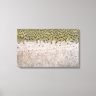 Steelhead på Canvas