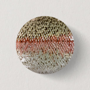 Steelhead Trout Knapp