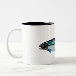 Steelhead Trout, Mugg