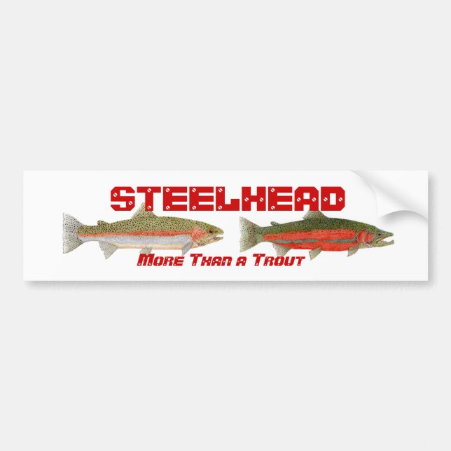 Steelheadbildekal Bildekal (Framsidan)