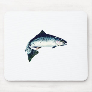 Steelheadsimning Musmatta