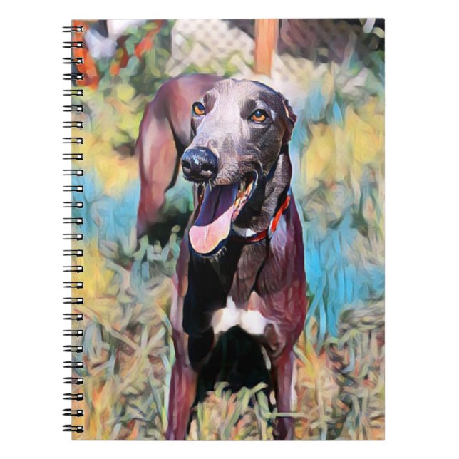 Steely Anteckningsbok (Framsidan)