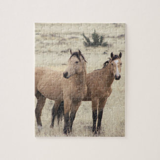 Steens Mustangs Pussel