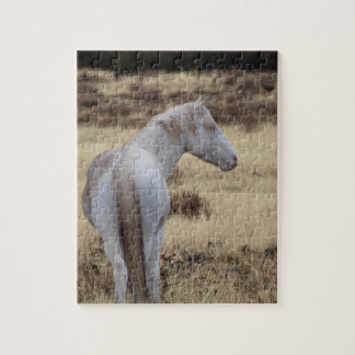 Steens Mustangs Pussel