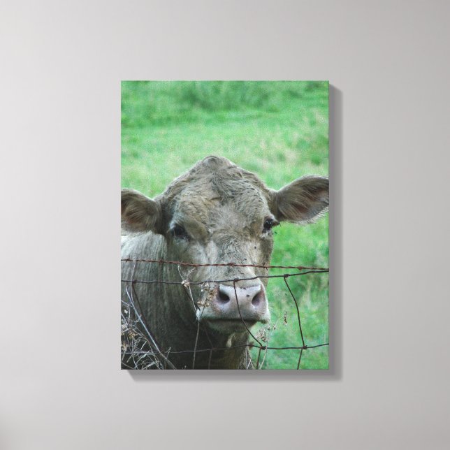 Steer Says Hej Canvastryck (Framsida)