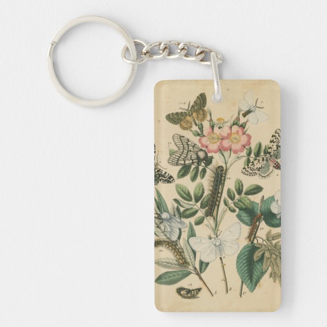 Steg av Butterfly Life by Vision Studio (Framsidan)