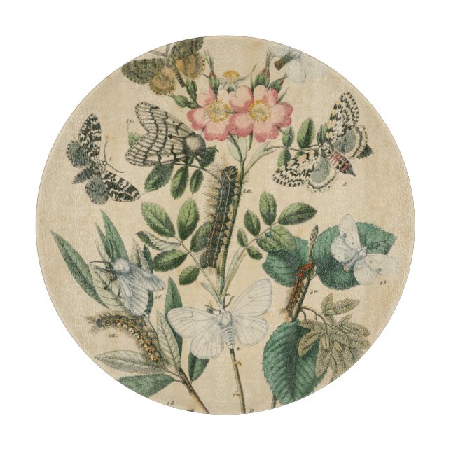 Steg av Butterfly Life by Vision Studio (Framsidan)