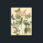 Steg av Butterfly Life by Vision Studio Canvastryck<br><div class="desc">Alla stadier av fjärilslivet visas i biet av Vision Studio. Katerpelare,  nyligen kläckta fjärilar och till och med en larvpod visas. Om man i kärlek i allmänhet,  eller fjärilar i synnerhet,  så är det er utskrift!</div>