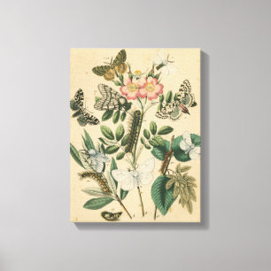 Steg av Butterfly Life by Vision Studio Canvastryck