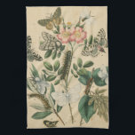 Steg av Butterfly Life by Vision Studio Kökshandduk<br><div class="desc">Alla stadier av fjärilslivet visas i biet av Vision Studio. Katerpelare,  nyligen kläckta fjärilar och till och med en larvpod visas. Om man i kärlek i allmänhet,  eller fjärilar i synnerhet,  så är det er utskrift!</div>