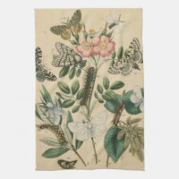 Steg av Butterfly Life by Vision Studio