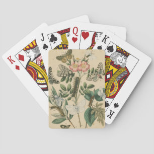 Steg av Butterfly Life by Vision Studio Kortlek