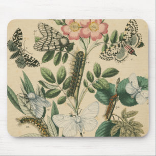Steg av Butterfly Life by Vision Studio Musmatta