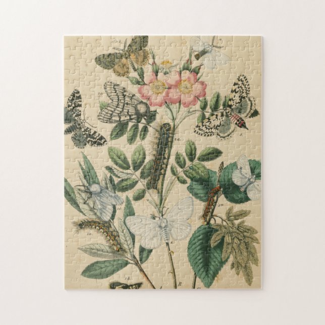 Steg av Butterfly Life by Vision Studio Pussel (Vertikal)