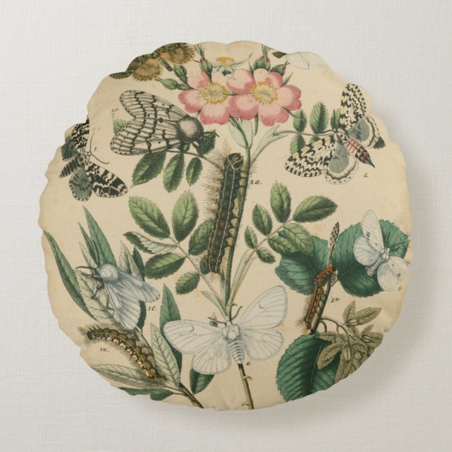 Steg av Butterfly Life by Vision Studio Rund Kudde (Framsidan)