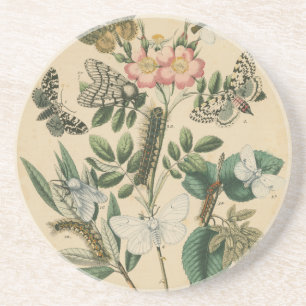 Steg av Butterfly Life by Vision Studio Underlägg