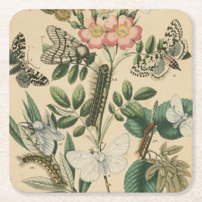 Steg av Butterfly Life by Vision Studio Underlägg Papper Kvadrat (Framsidan)