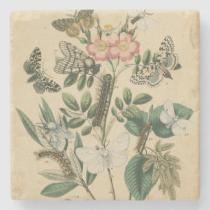 Steg av Butterfly Life by Vision Studio Underlägg Sten