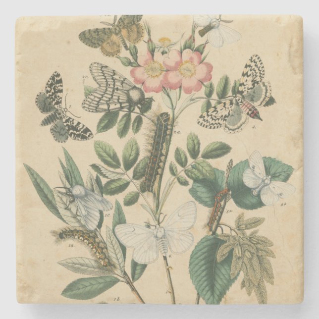 Steg av Butterfly Life by Vision Studio Underlägg Sten (Framsidan)