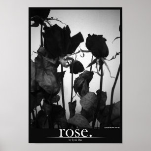 steg [gräns] poster