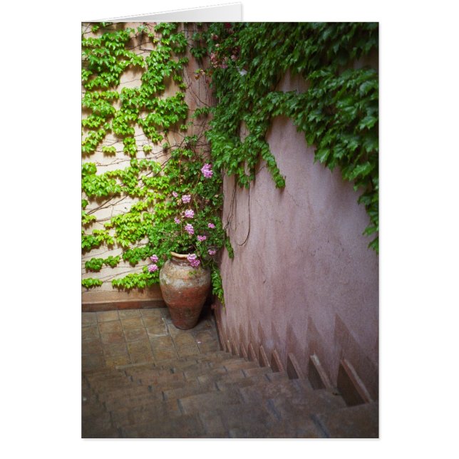 Steg Hälsningskort (Framsidan)