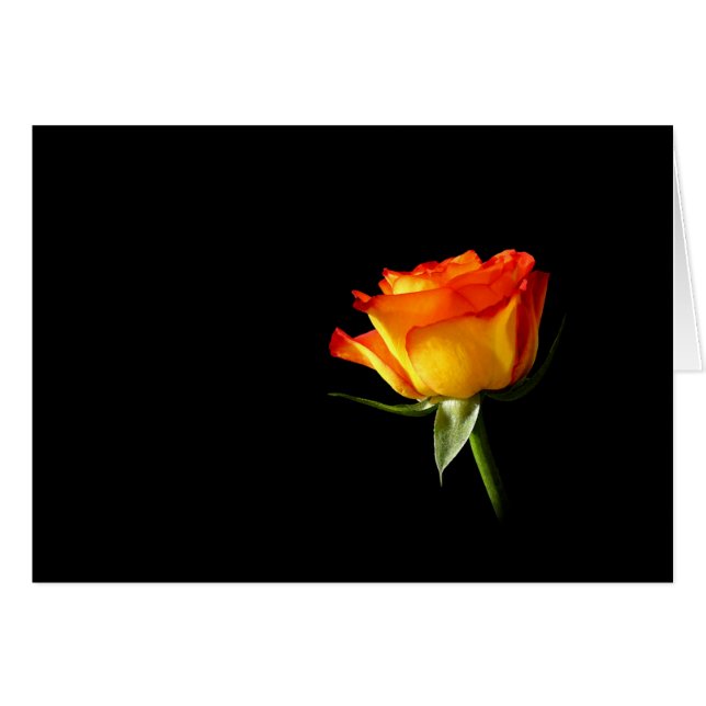 Steg Hälsningskort (Framsidan Horizontal)