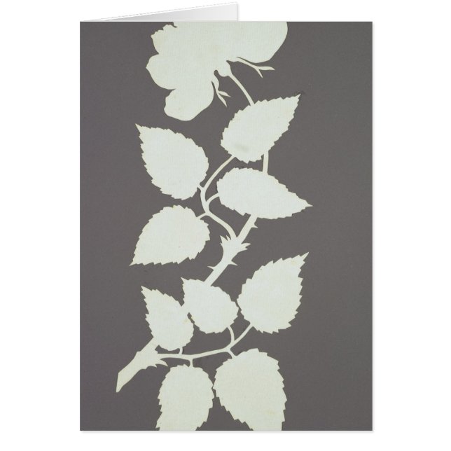 Steg Hälsningskort (Framsidan)