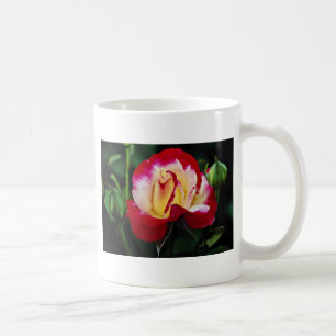 Steg hybrid- Tea för dubbel fröjd "Andeli" Kaffemugg