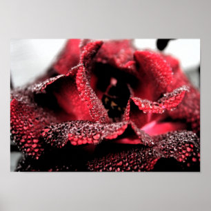 Steg i blomaffisch/tryck poster