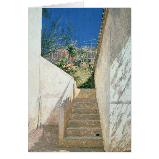 Steg i Garden, Algeriet, 1883 Hälsningskort (Framsidan)