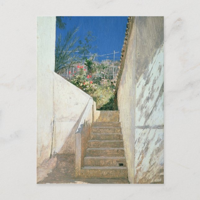 Steg i Garden, Algeriet, 1883 Vykort (Framsida)