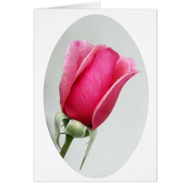 Steg i Oval Hälsningskort (Framsidan)