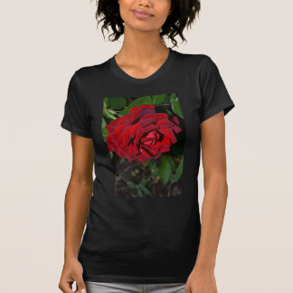 Steg in djupt - rött tee shirt