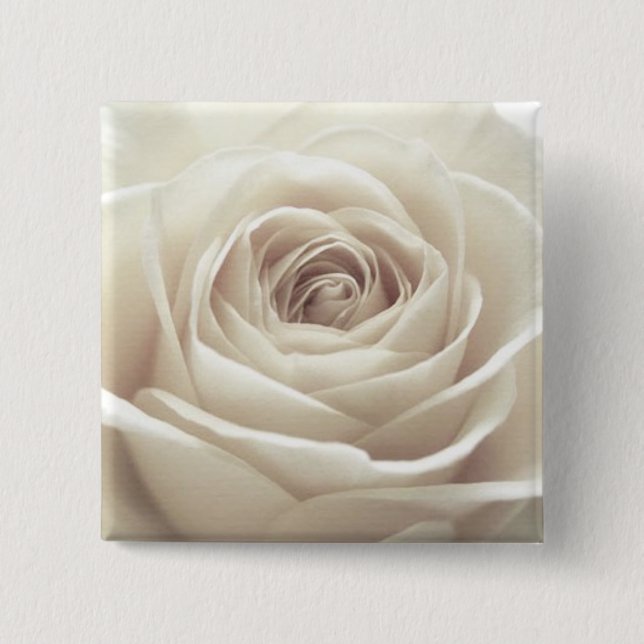 Steg knäppas knapp (Framsida)