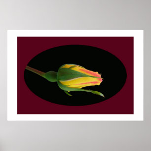 Steg knoppen poster