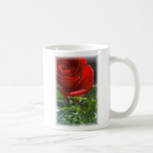 Steg med stjärnakaffekoppen kaffemugg